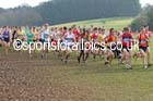 Soon after the start of the of the senior mens Inter Counties Cross Country, Cofton Park, Birmingham. Photo: David T. Hewitson/Sports for All Pics